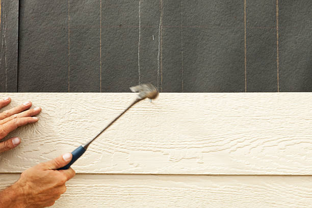 Best Custom Siding Design  in Portales, NM